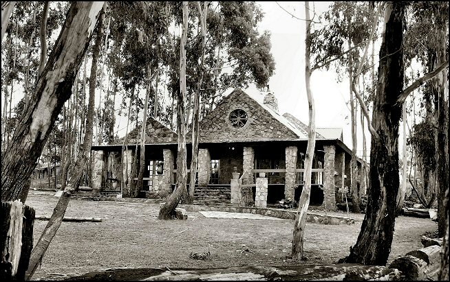 Fotografía por Juicer para DesignCrowd (Community Contests) | Diseño #9064400