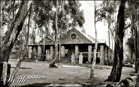 Photography by Juicer