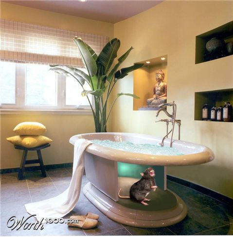 Photoshop Design by sugarcane