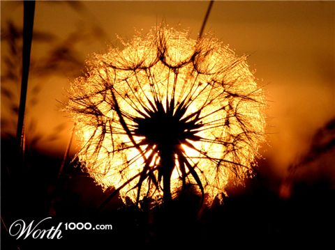 Photography by EmilBanck