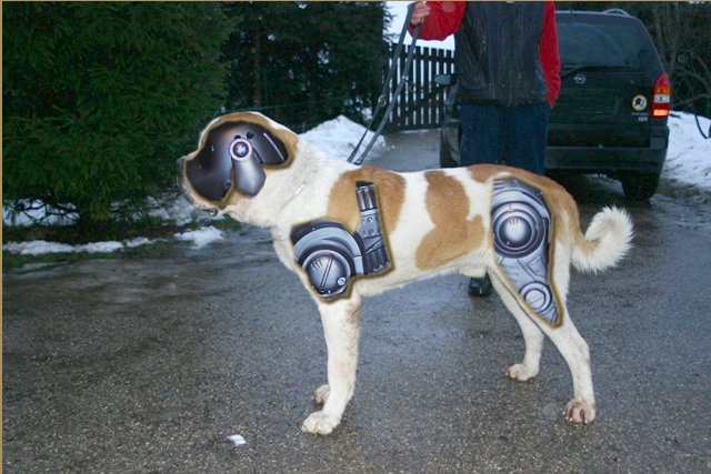 Photoshop-Design von BossCamper für DesignCrowd (Community Contests) | Design #9064655