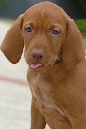 Photography by bc2poo for DesignCrowd (Community Contests) | Design #9064632