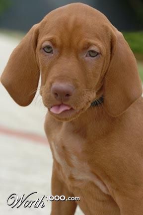 Photography by bc2poo