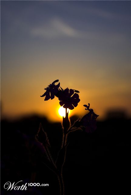 Photography by mightyflup