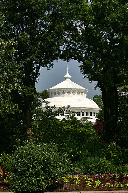 Fotografie von zsandra für DesignCrowd (Community Contests) | Design #9064696