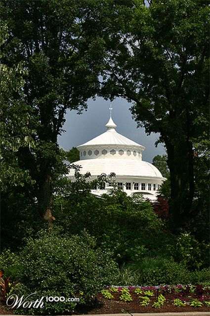 Photography by zsandra