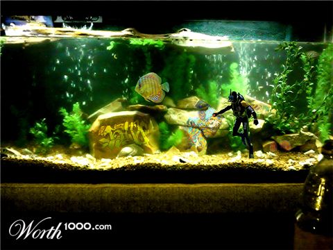 Photoshop Design by Svethead