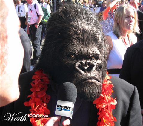 Photoshop Design by digammo