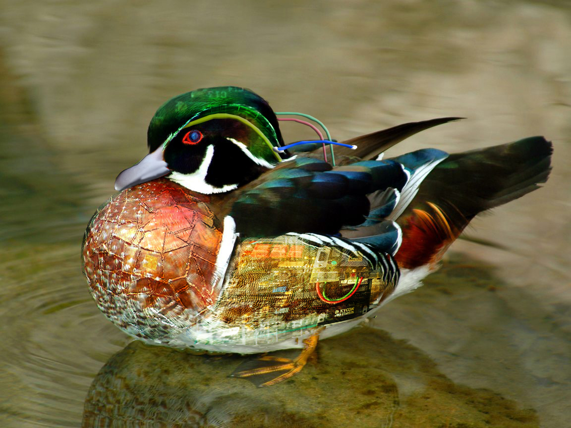 Photoshop Design by funky123 for DesignCrowd (Community Contests) | Design #9059815