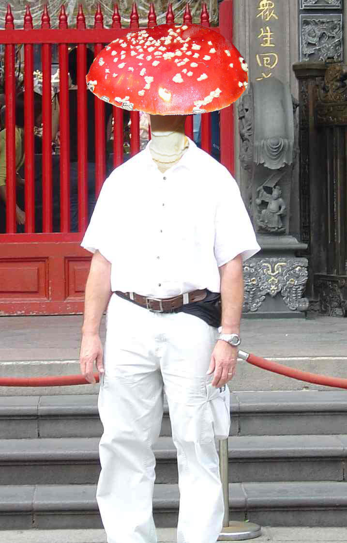 Diseño de Photoshop por couznig para DesignCrowd (Community Contests) | Diseño #9059828