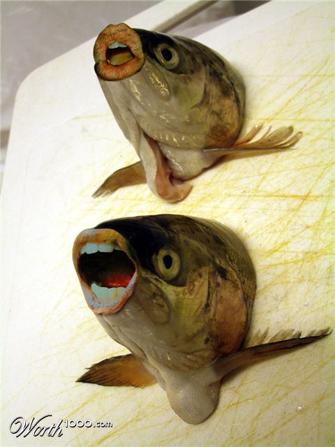 Photoshop Design by DennisL