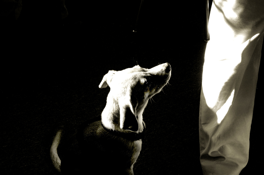 Fotografía por spawnofbill para DesignCrowd (Community Contests) | Diseño #9074020