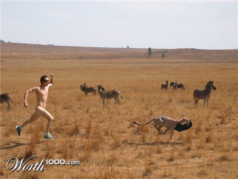 Photoshop Design by Killington