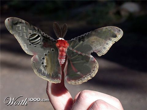 Photoshop Design by wagnerm25