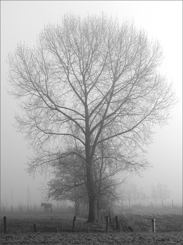 Fotografía por MilleDju para DesignCrowd (Community Contests) | Diseño #9074116