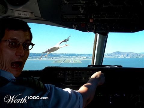 Photoshop Design by borg05