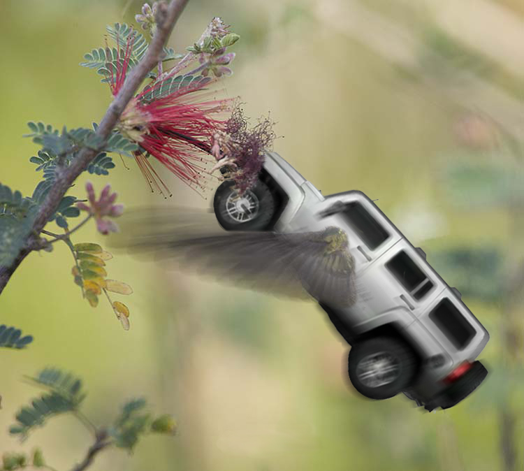 Photoshop-Design von MadamXelda für DesignCrowd (Community Contests) | Design #9060018