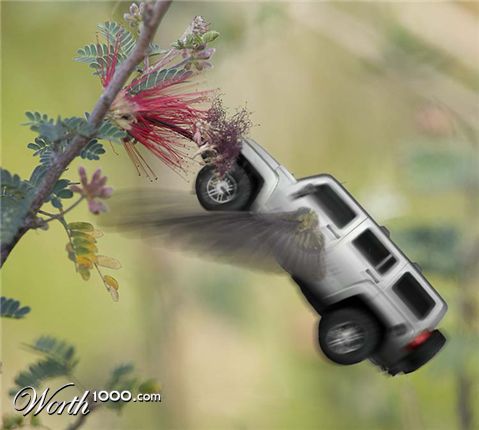 Photoshop Design by MadamXelda