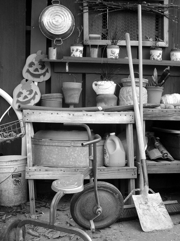 Photography by stayceejae for DesignCrowd (Community Contests) | Design #9064447