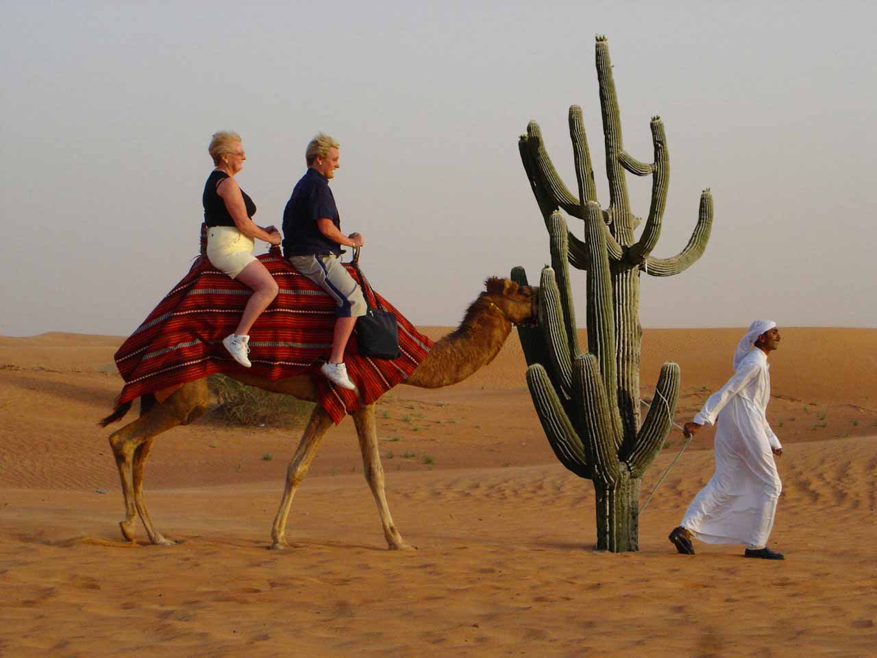 Photoshop Design by samkorni for DesignCrowd (Community Contests) | Design #9062310