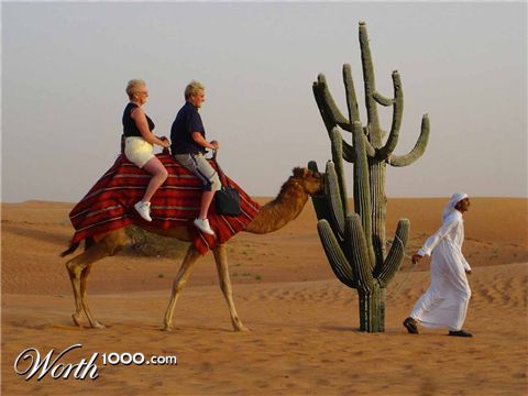 Photoshop Design by samkorni