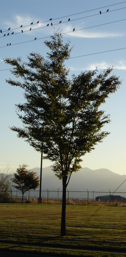 Photography by CheckMinus for DesignCrowd (Community Contests) | Design #9064781