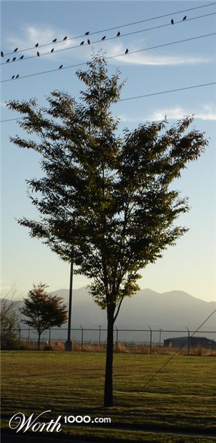 Photography by CheckMinus