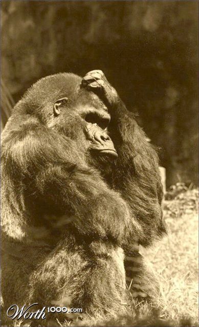 Photography by Isabella2006