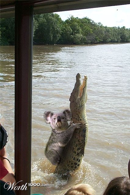 Photoshop Design by di0deus