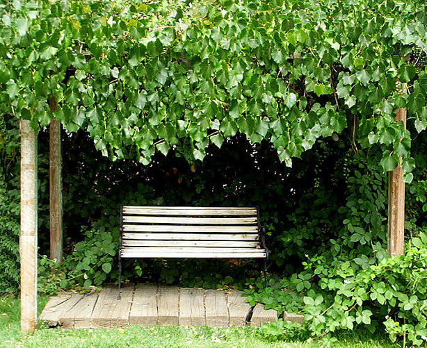 Fotografie von tlovesd für DesignCrowd (Community Contests) | Design #9064785