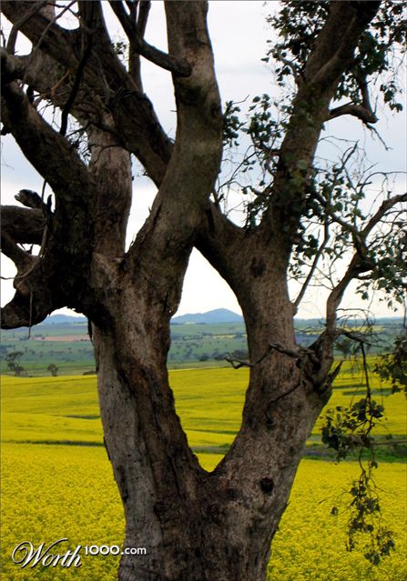 Photography by Budmulla