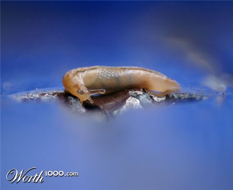 Photography by kimbomac