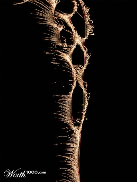 Photography by Flibble