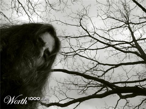 Photography by Flibble