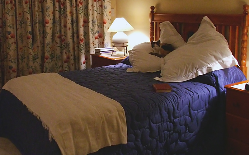 Photography by lynvdg for DesignCrowd (Community Contests) | Design #9064479