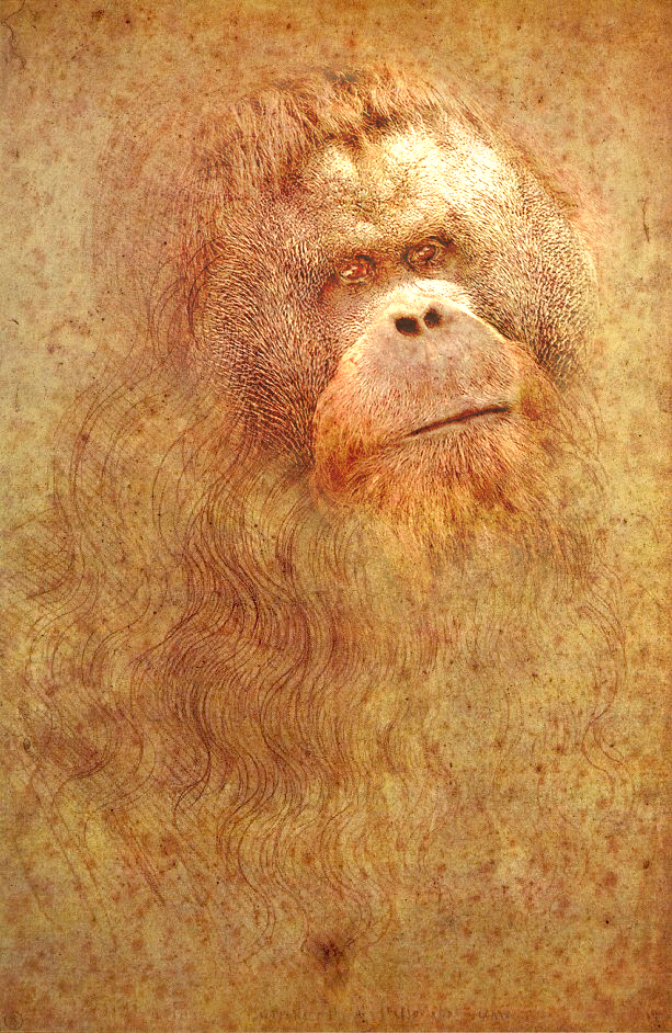 Photoshop Design by Aussiepilot for DesignCrowd (Community Contests) | Design #9062119