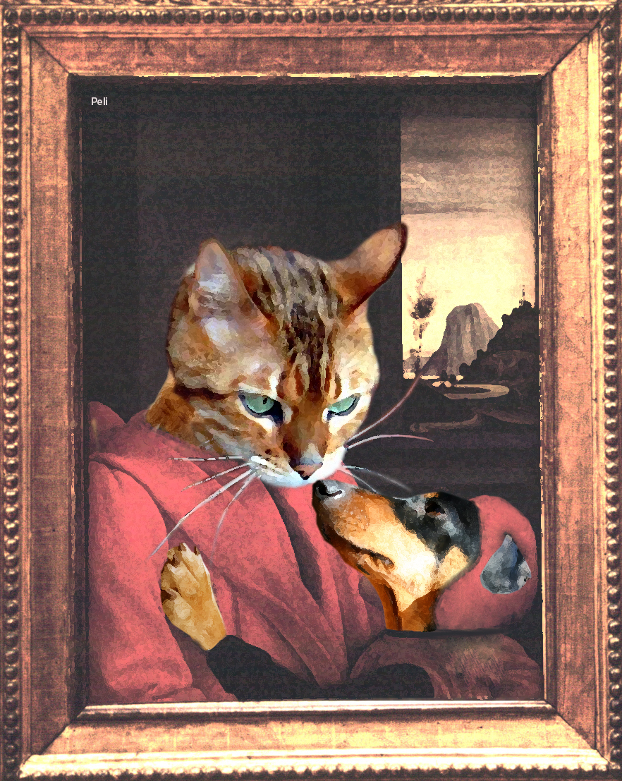 Photoshop Design by Pelikoen for DesignCrowd (Community Contests) | Design #9062164