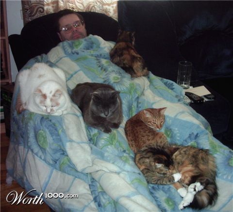 Photography by lisa4011