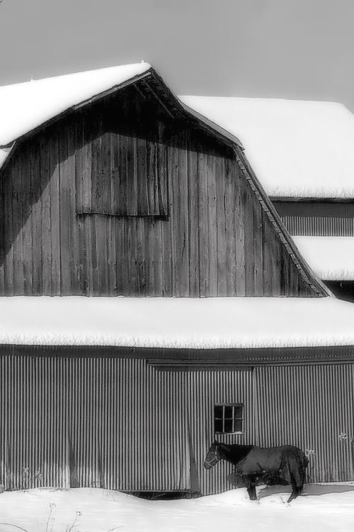 Photography by Kirsilouis for DesignCrowd (Community Contests) | Design #9074121