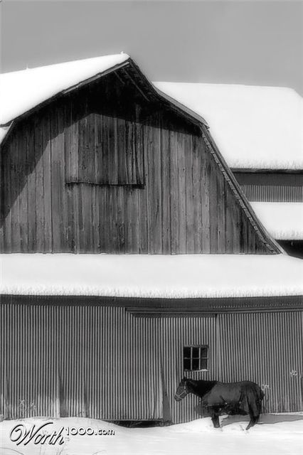 Photography by Kirsilouis