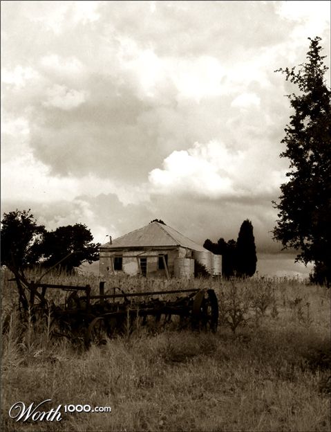 Photography by Budmulla