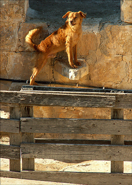 Photography by Ronbrandt for DesignCrowd (Community Contests) | Design #9064895