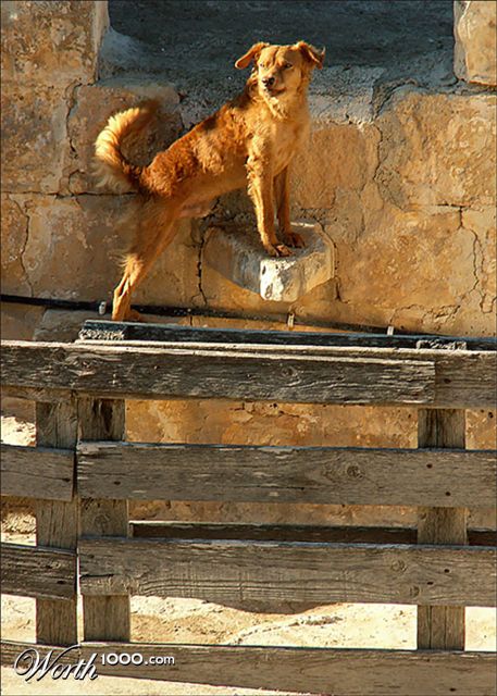 Photography by Ronbrandt