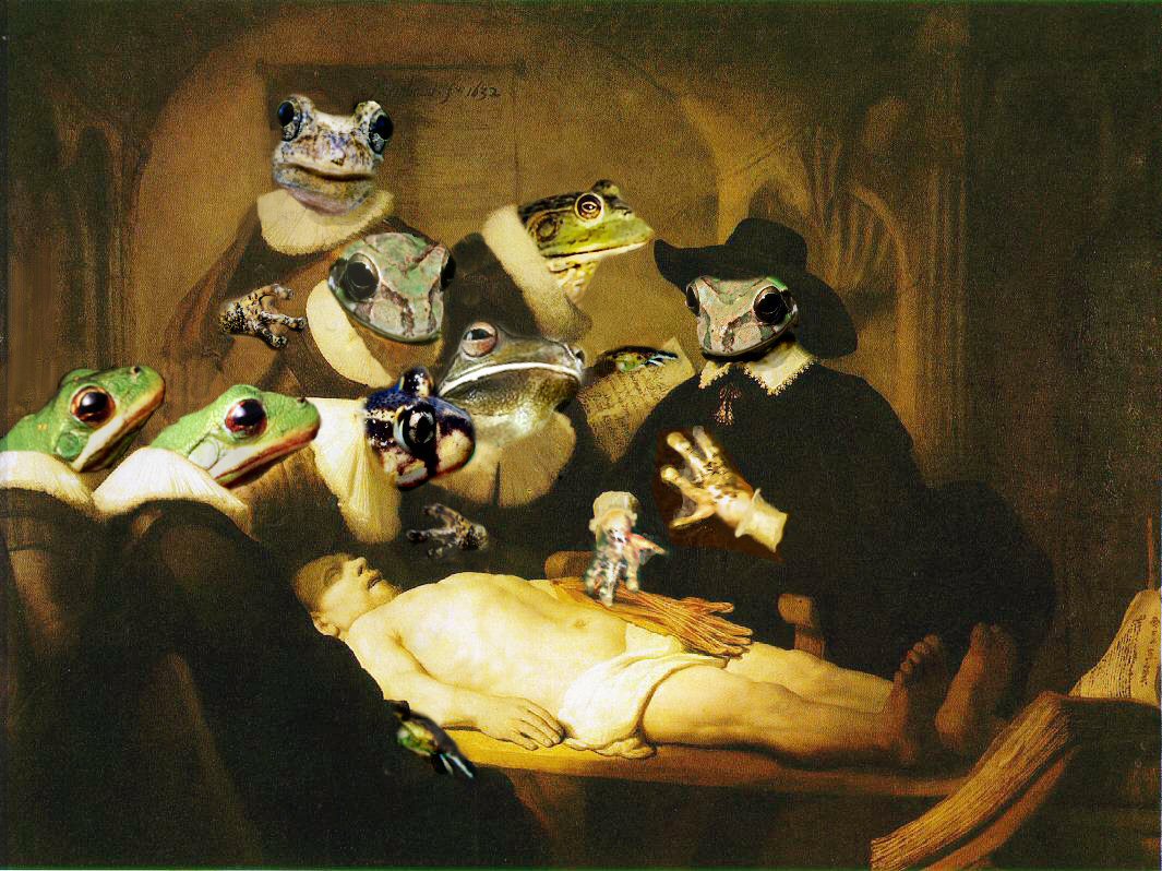 Photoshop Design by jhasara for DesignCrowd (Community Contests) | Design #9062186