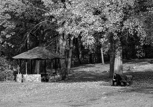 Fotografía por LADPUPMOE para DesignCrowd (Community Contests) | Diseño #9074106