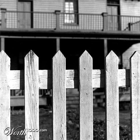 Photography by dylder