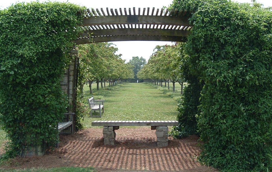 Photographie par RickF413 pour DesignCrowd (Community Contests) | Design #9064856