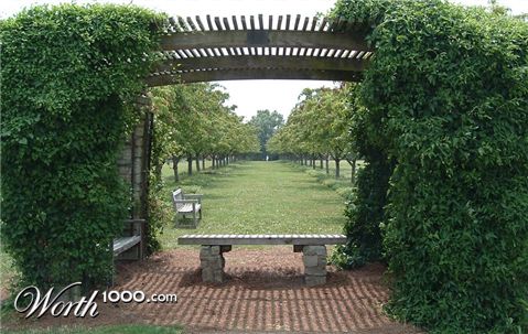 Photography by RickF413