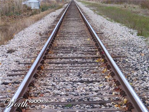 Photography by nertle