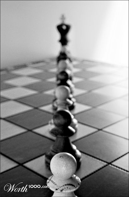 Photography by Scuzem